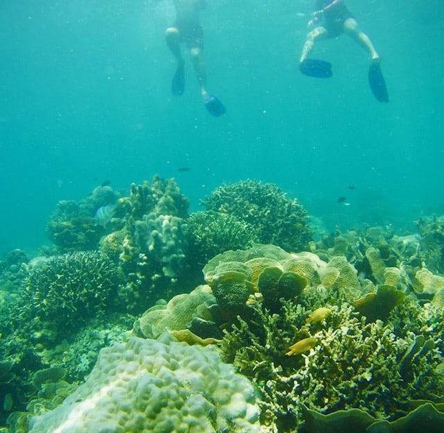 snorkeling in cabo san lucas