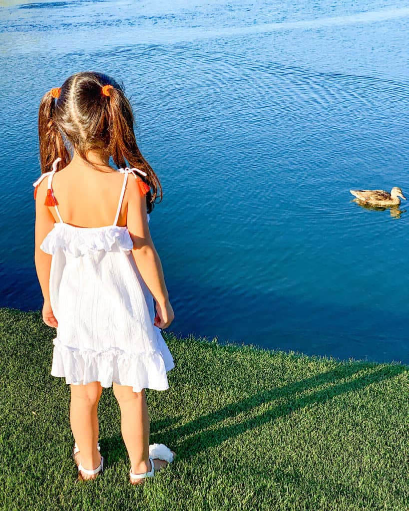 Young girl beside duck in lake