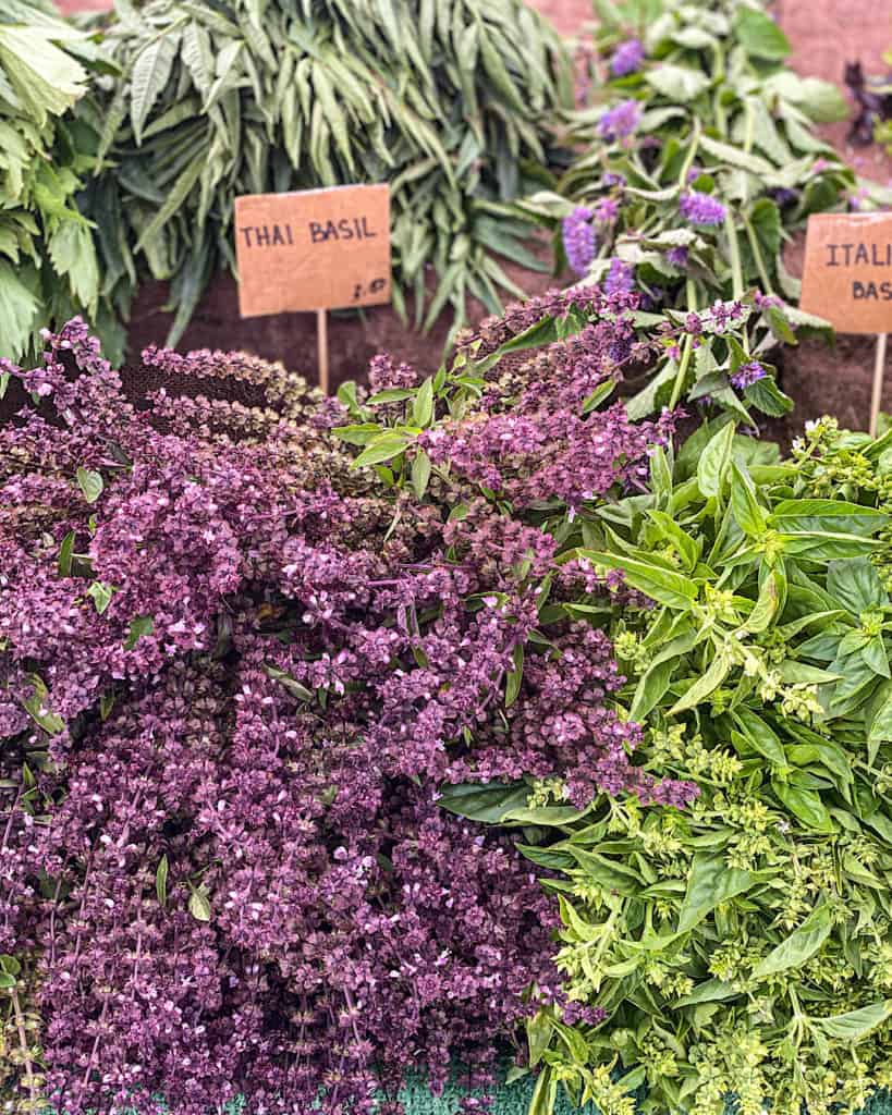 3 Days In Los Angeles itinerary - herbs at 3rd Street Farmers Market 