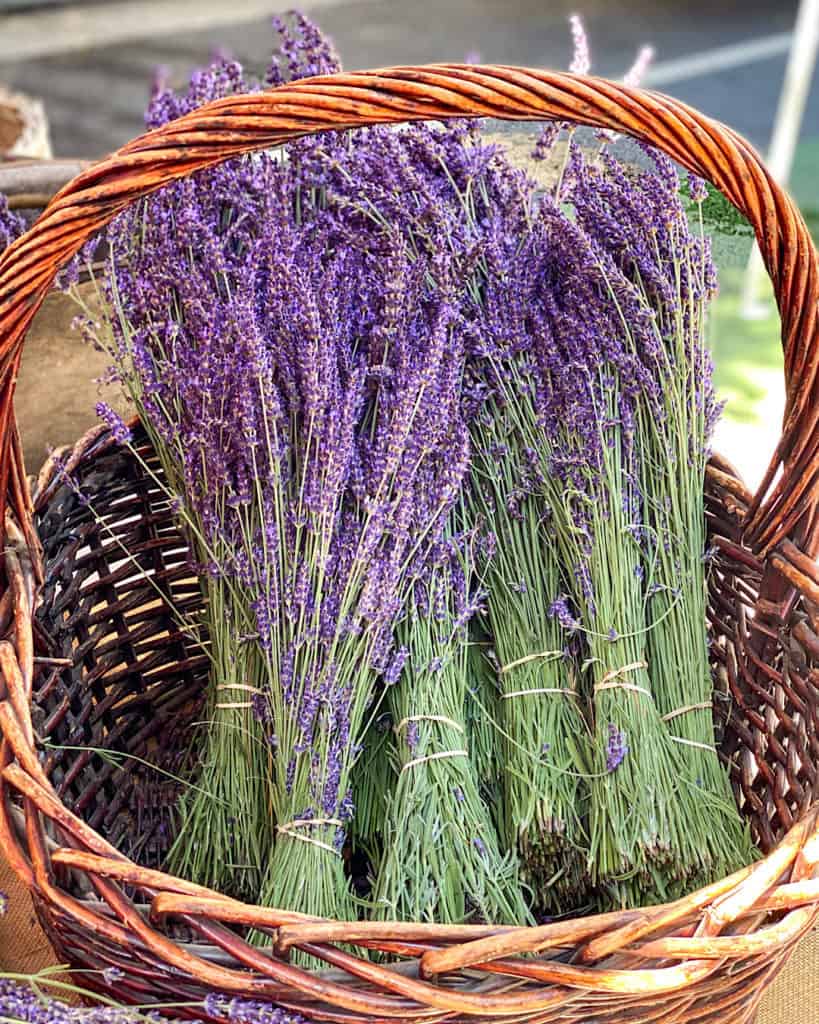 3 Days In Los Angeles itinerary - lavender at 3rd Street Farmers Market 