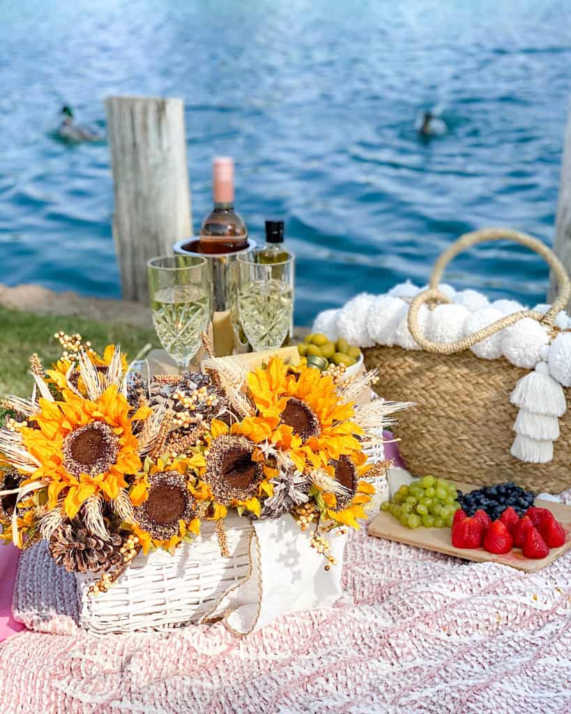 Perfect picnic with wine and snacks by the water