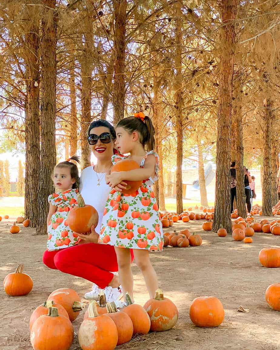 Tips for Taking Your Toddler to the Pumpkin Patch