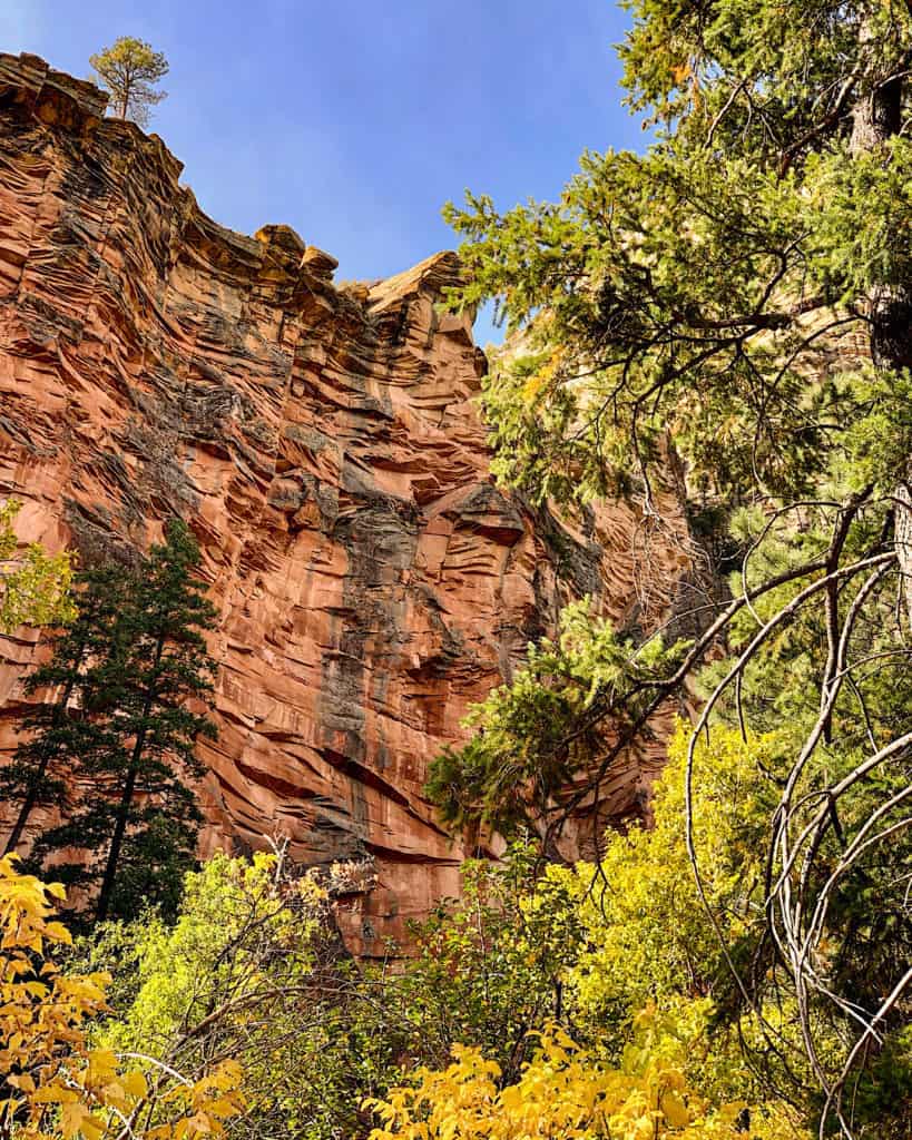 Best Time to Visit Sedona Arizona: Fall to see the red rocks and pines