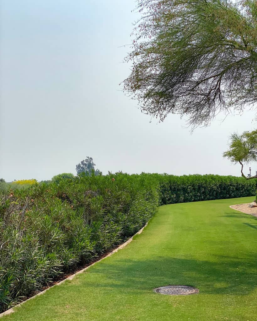 The Phoenician Golf Club - travel guide