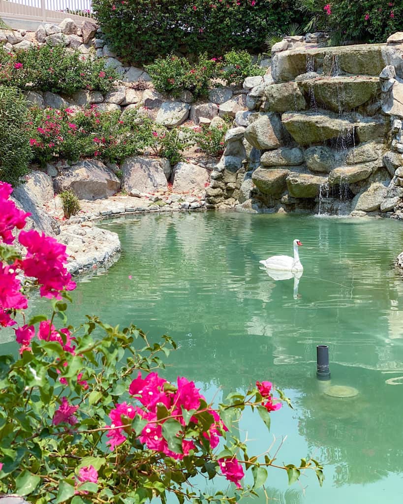 Travel Guide: The Phoenician - the beautiful landscaping