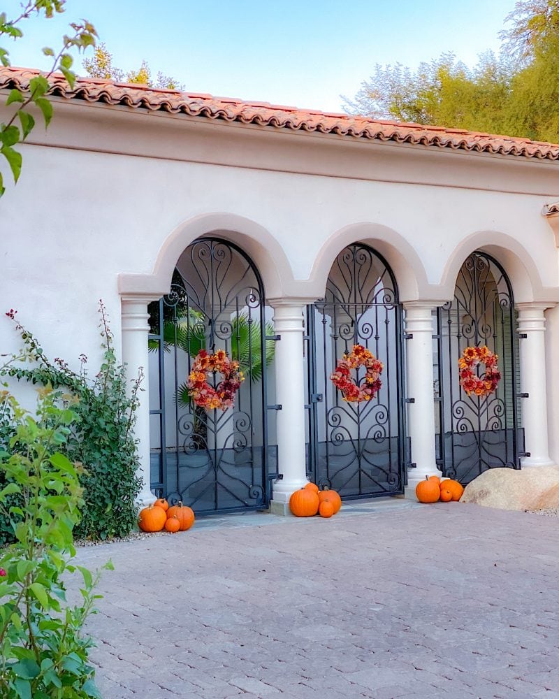Outdoor Decorating with Mums and Pumpkins | 9 Easy Tips!