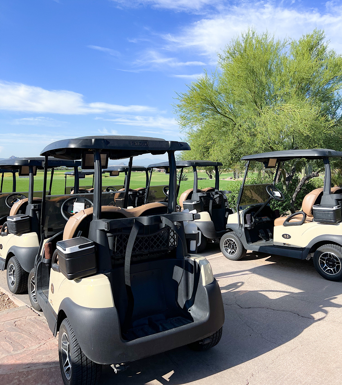Ritz Carlton Golf Carts
