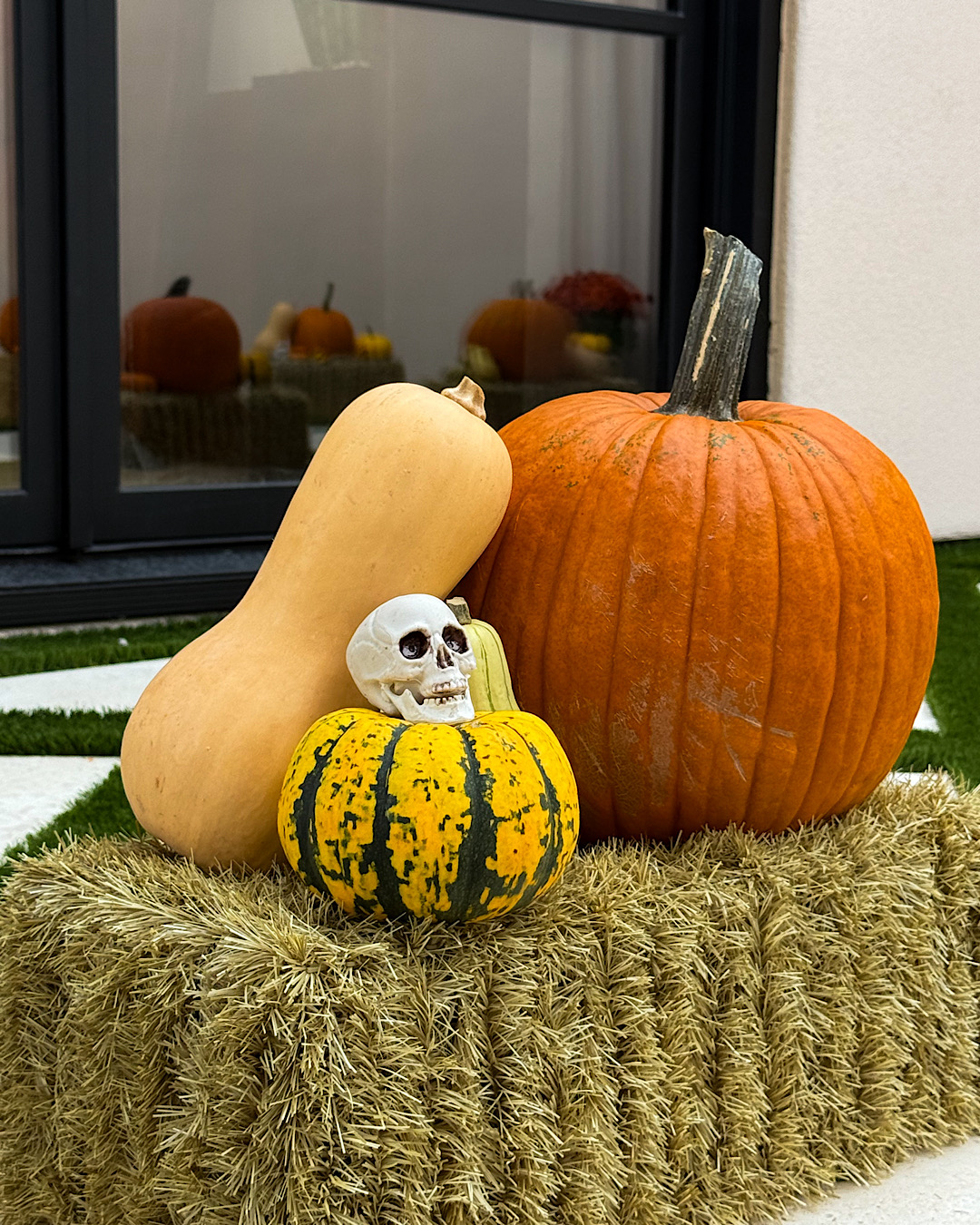 trader joe's pumpkins